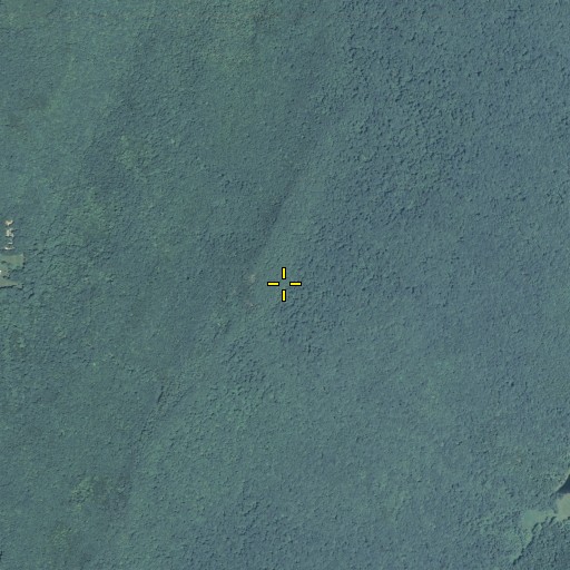 Aerial/Satellite Image of Round Top, GA
