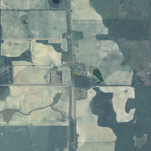 Aerial/Satellite Image of Rowena, GA