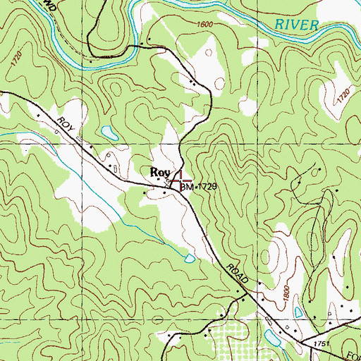 Topographic Map of Roy, GA