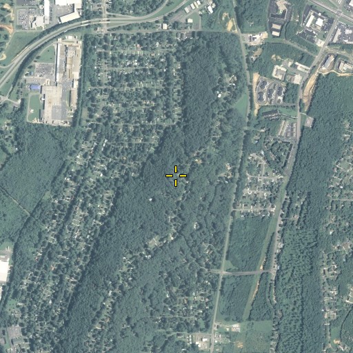 Aerial/Satellite Image of Saddle Mountain, GA