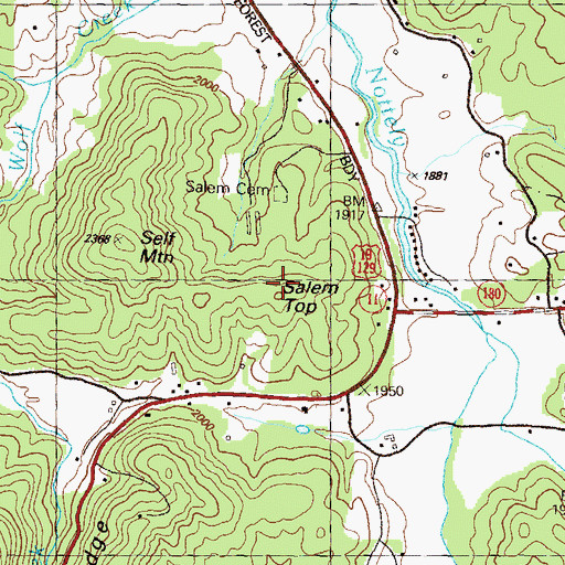Topographic Map of Salem Top, GA
