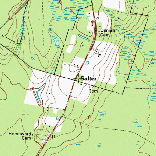 Topographic Map of Salter, GA