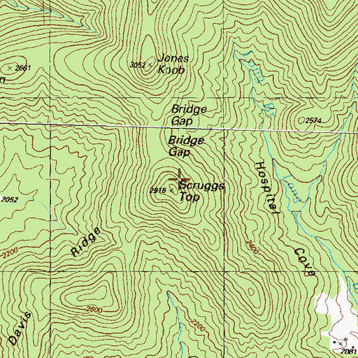 Topographic Map of Scruggs Top, GA