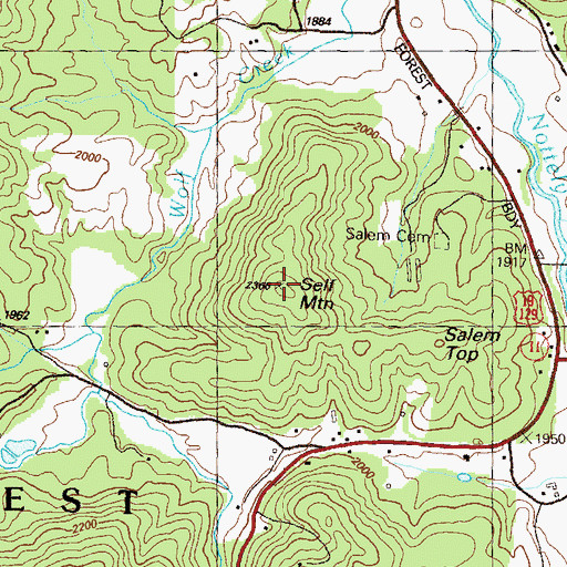 Topographic Map of Self Mountain, GA