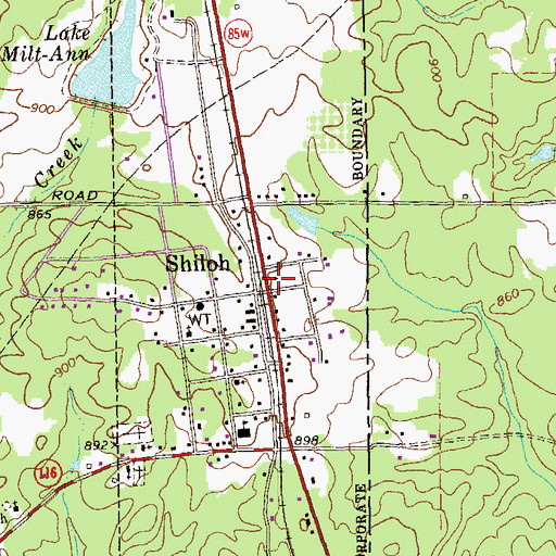Topographic Map of Shiloh, GA
