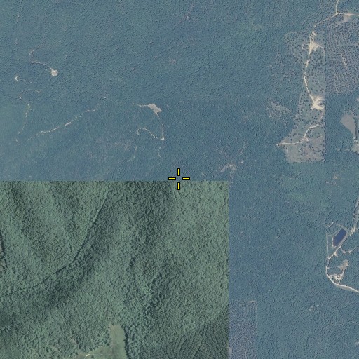 Aerial/Satellite Image of Shorty Mountain, GA