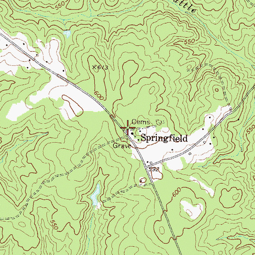 Topographic Map of Springfield, GA