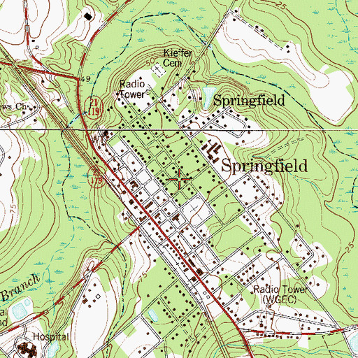 Topographic Map of Springfield, GA