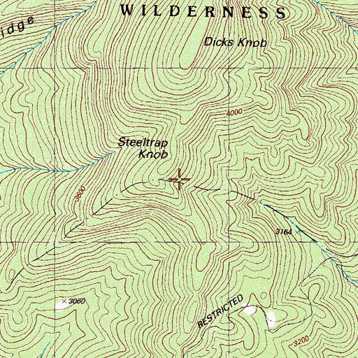 Topographic Map of Steeltrap Knob, GA