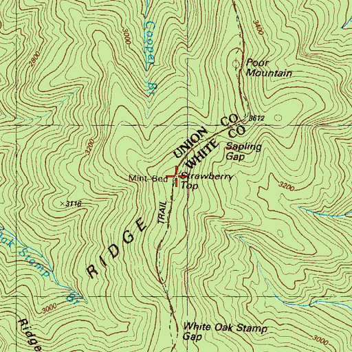 Topographic Map of Strawberry Top, GA