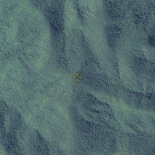 Aerial/Satellite Image of Strawberry Top, GA