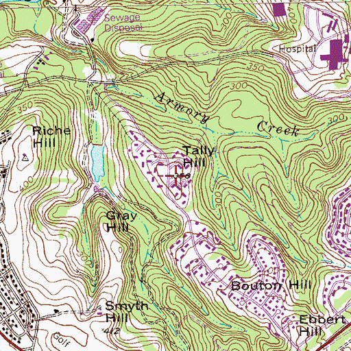Topographic Map of Tally Hill, GA
