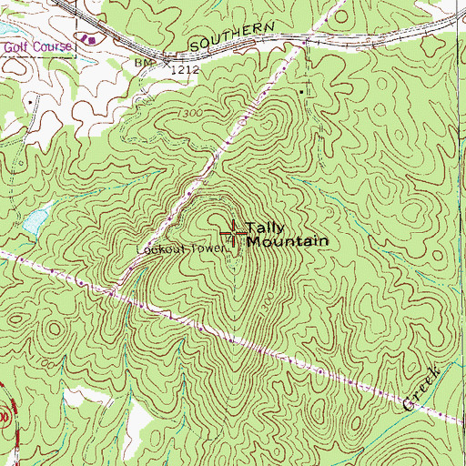 Topographic Map of Tally Mountain, GA