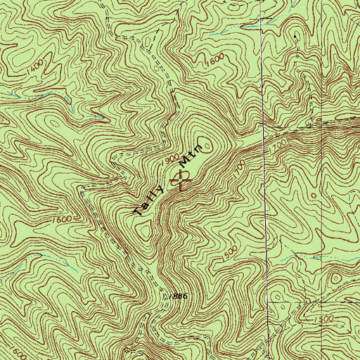 Topographic Map of Tally Mountain, GA