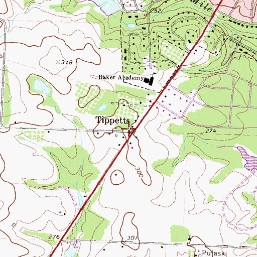 Topographic Map of Tippetts, GA
