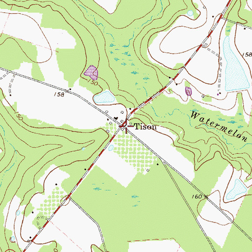 Topographic Map of Tison, GA