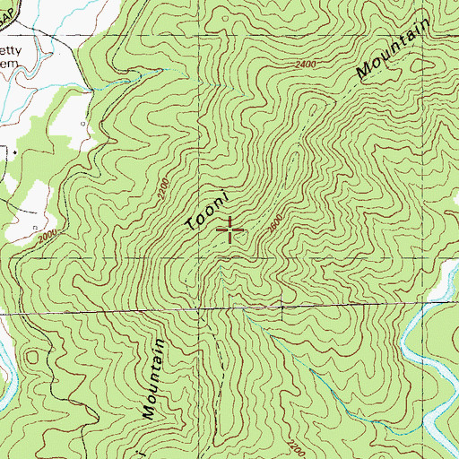 Topographic Map of Tooni Mountain, GA