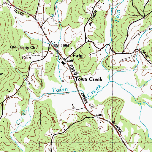 Topographic Map of Town Creek, GA