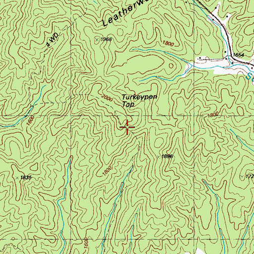 Topographic Map of Turkeypen Top, GA