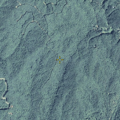 Aerial/Satellite Image of Turkeypen Top, GA
