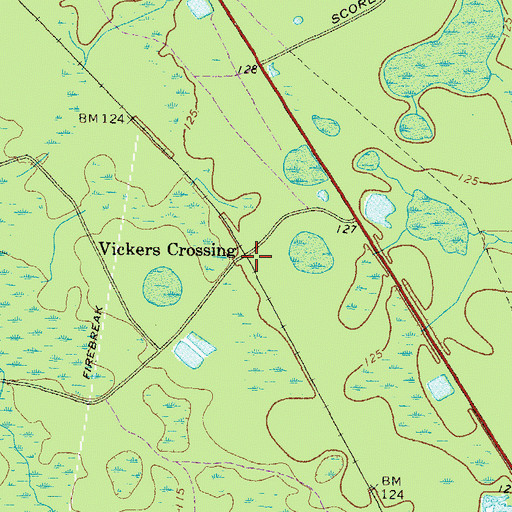 Topographic Map of Vickers Crossing, GA