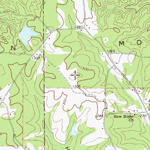 Topographic Map of Vinson Mountain, GA