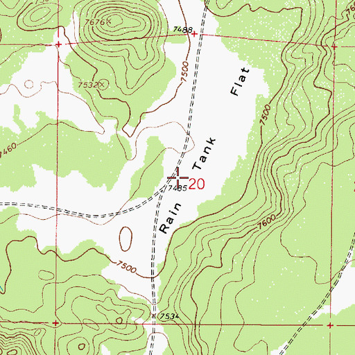 Topographic Map of Rain Tank Flat, AZ