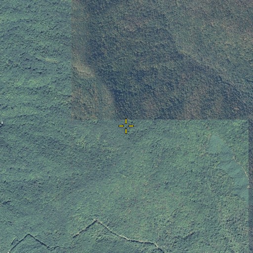 Aerial/Satellite Image of Wheeler Knob, GA
