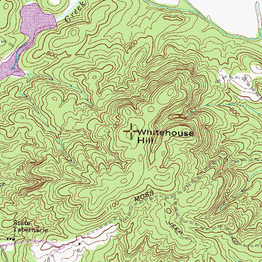 Topographic Map of Whitehouse Hill, GA