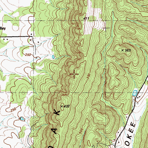 Topographic Map of White Oak Mountain, GA