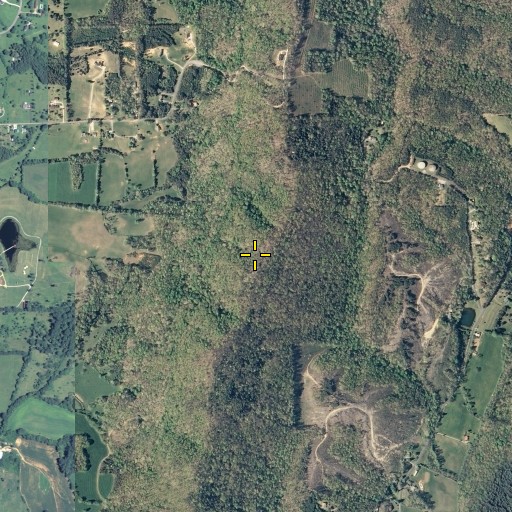Aerial/Satellite Image of White Oak Mountain, GA