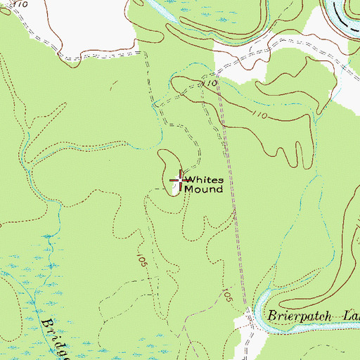 Topographic Map of Whites Mound, GA