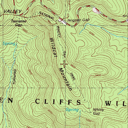 Topographic Map of Wildcat Mountain, GA