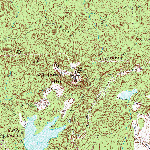 Topographic Map of Williams Mountain, GA