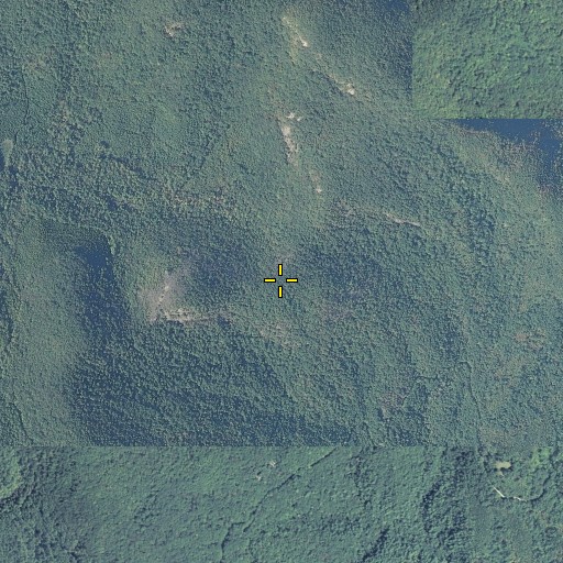 Aerial/Satellite Image of Wilson Knob, GA