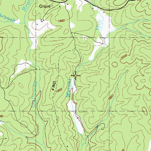 Topographic Map of Wright Mill, GA