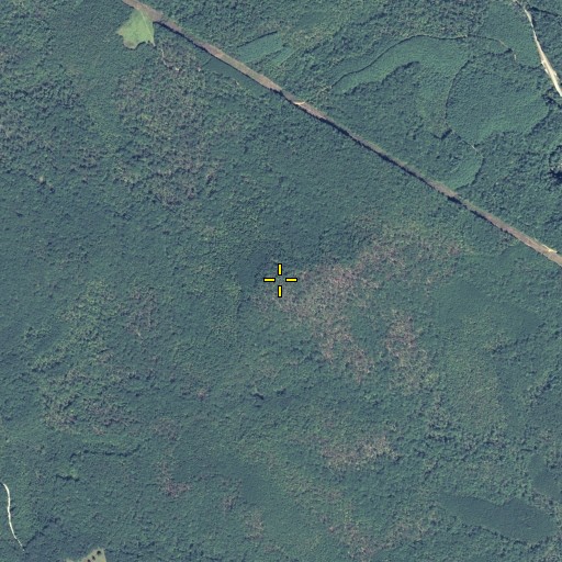Aerial/Satellite Image of Yellow Mountain, GA