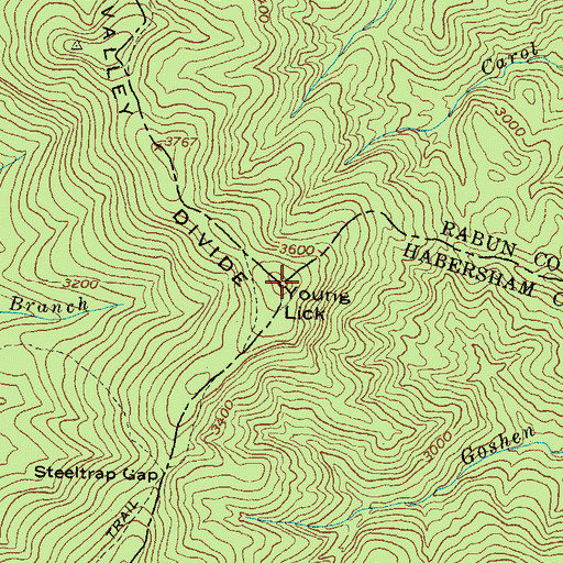 Topographic Map of Young Lick, GA