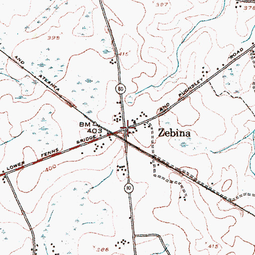 Topographic Map of Zebina, GA