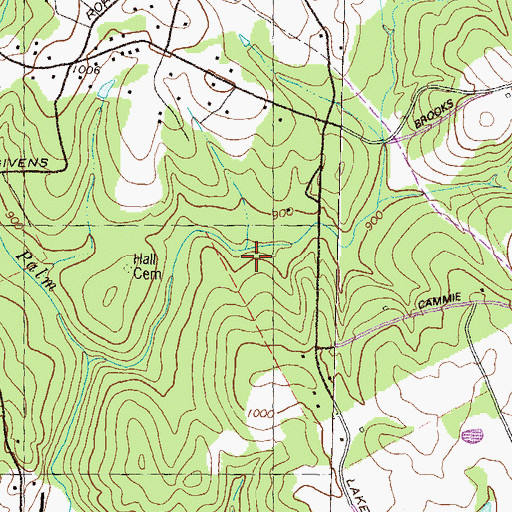 Topographic Map of Old Ewing Cemetery, GA