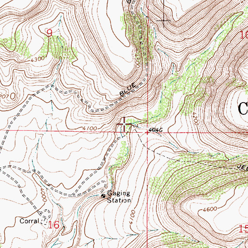 Topographic Map of Rarick Canyon, AZ