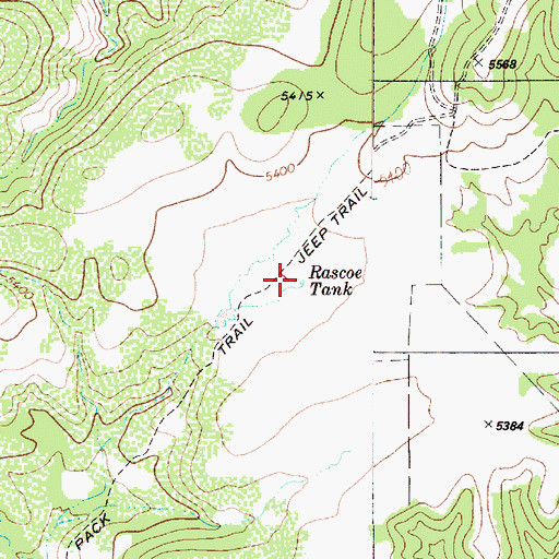 Topographic Map of Rascoe Tank, AZ