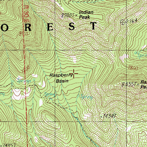 Topographic Map of Raspberry Basin, AZ