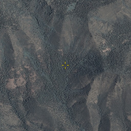 Aerial/Satellite Image of Raspberry Basin, AZ