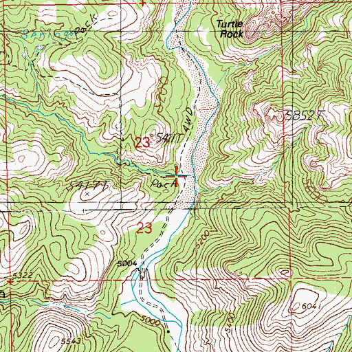 Topographic Map of Raspberry Creek, AZ