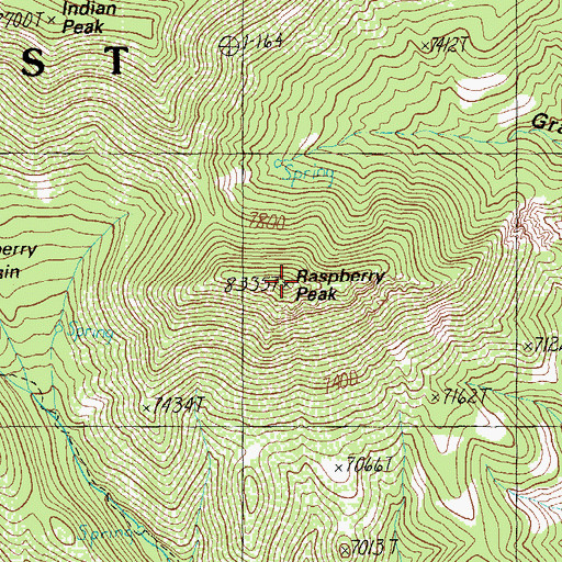 Topographic Map of Raspberry Peak, AZ