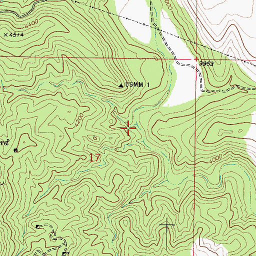 Topographic Map of Rattlesnake Canyon, AZ