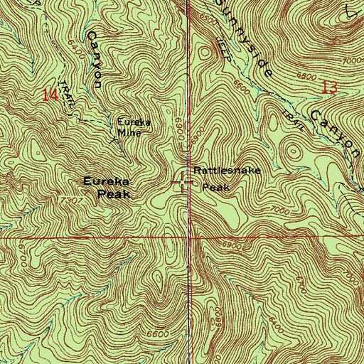 Topographic Map of Rattlesnake Peak, AZ