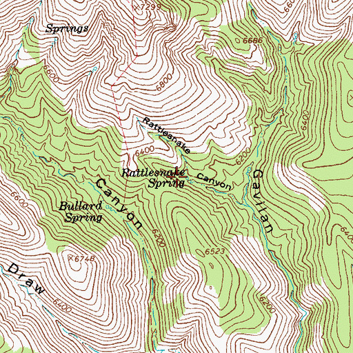 Topographic Map of Rattlesnake Spring, AZ