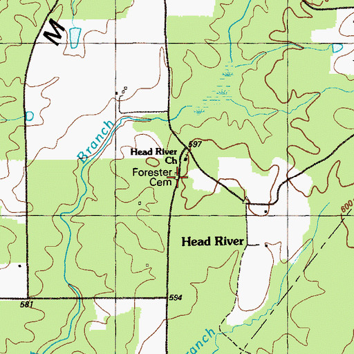 Topographic Map of Forester Cemetery, GA